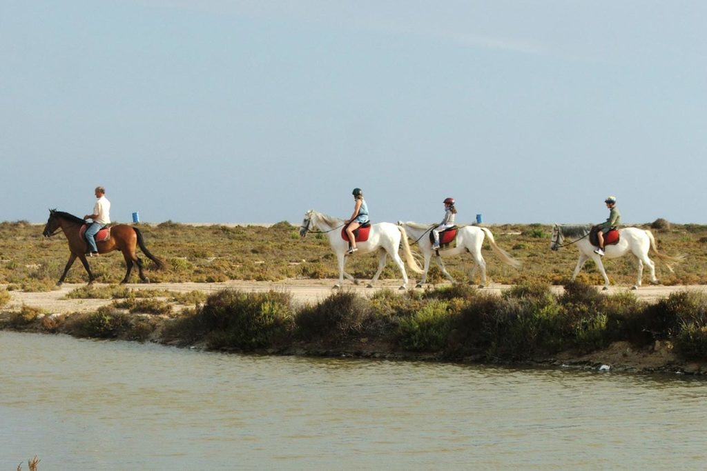 Actividades a caballo en Alicante