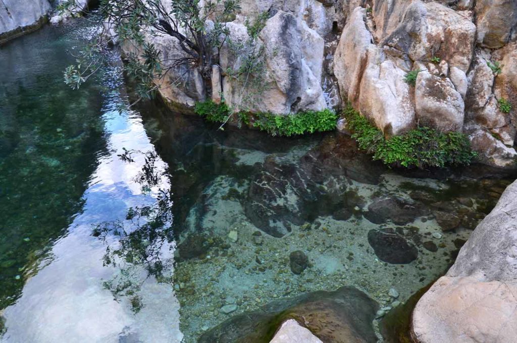 Fuentes del Algar