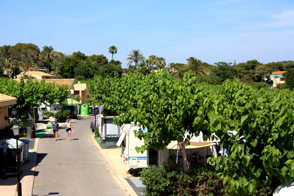 Campsite in Benidorm with plots