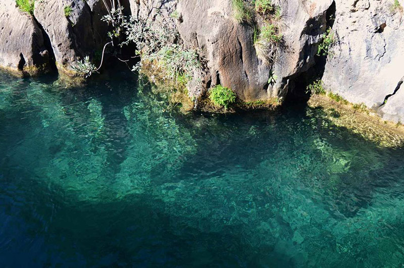 piscina natural en Alicante