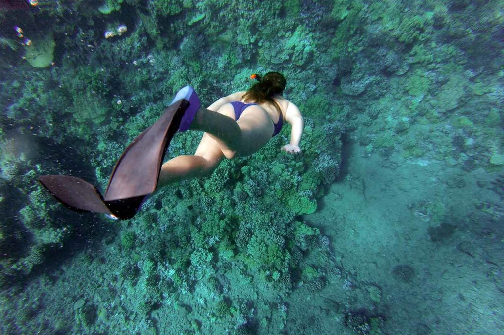 Snorkel en la Isla de Benidorm