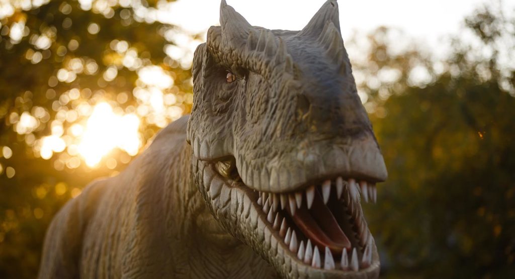 Dino Park Callosa