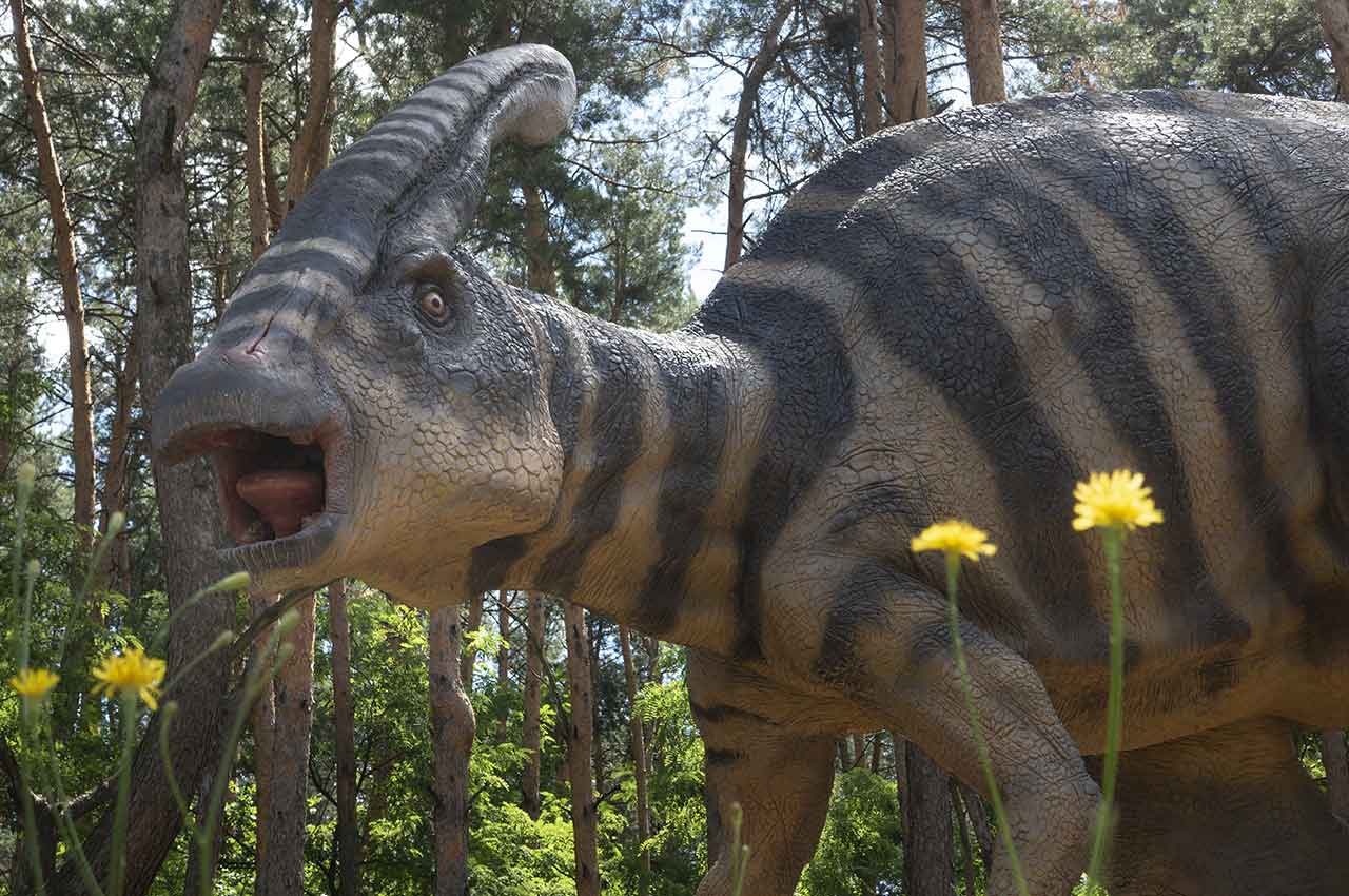 Como llegar a Dino Park Callosa