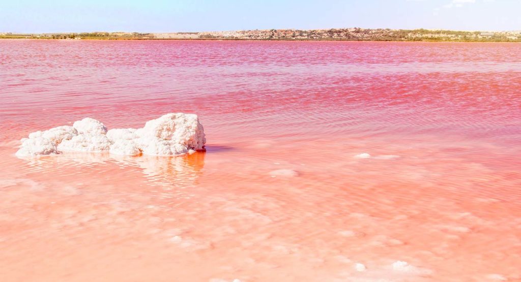 Pink Lake Torrevieja