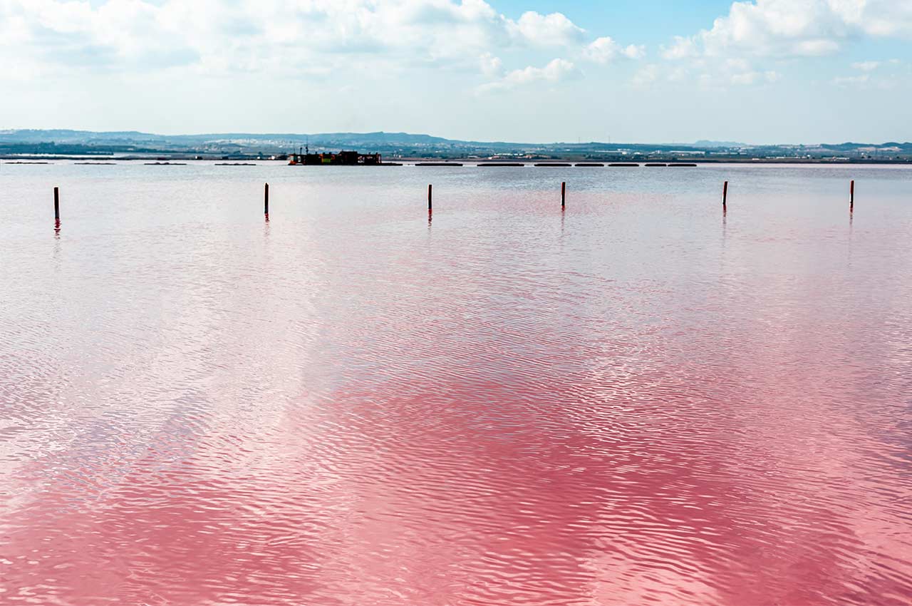 Torrevieja’s Pink Lake