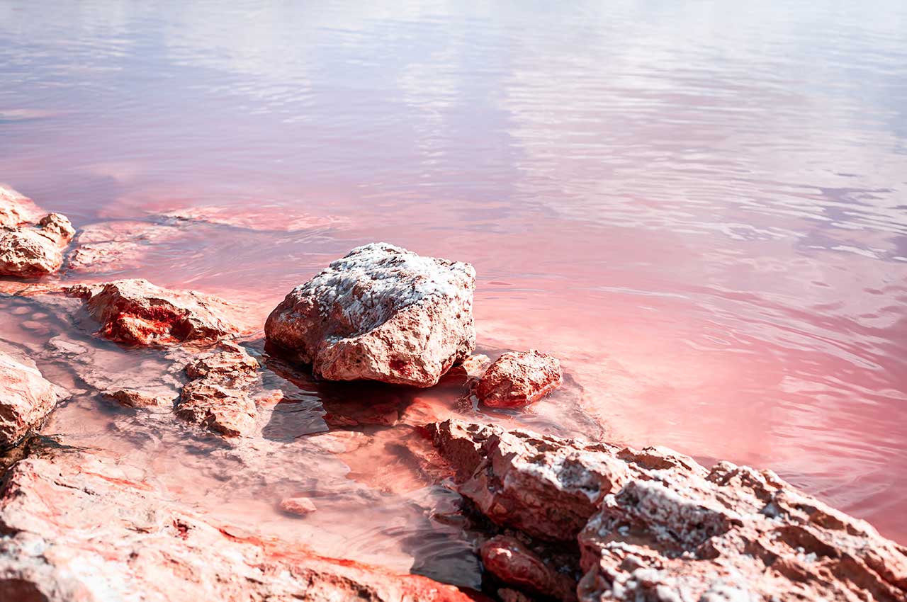 parque Natural de la Laguna rosa
