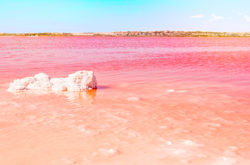 laguna salada de torrevieja