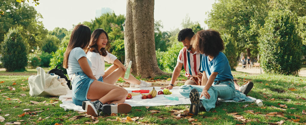 Digital Detox picnic.