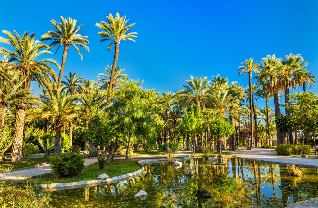 Jardín Botánico de Elche.