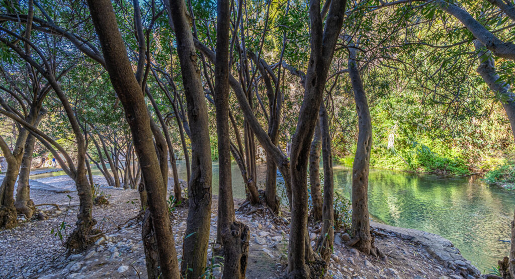 Baños de bosque en Benidorm. Las fuentes del Algar.