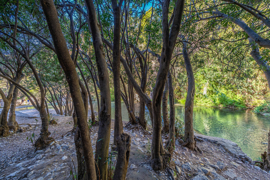 Baños de bosque en Benidorm. Las fuentes del Algar.