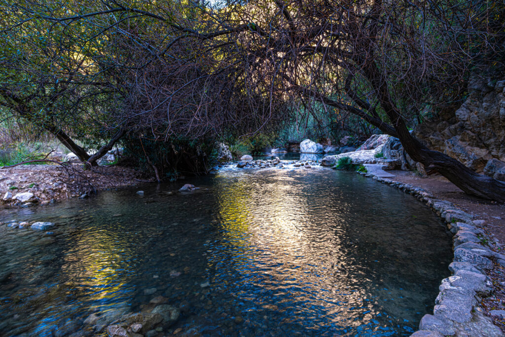 Baños de bosque en Benidorm. Las fuentes del Algar.